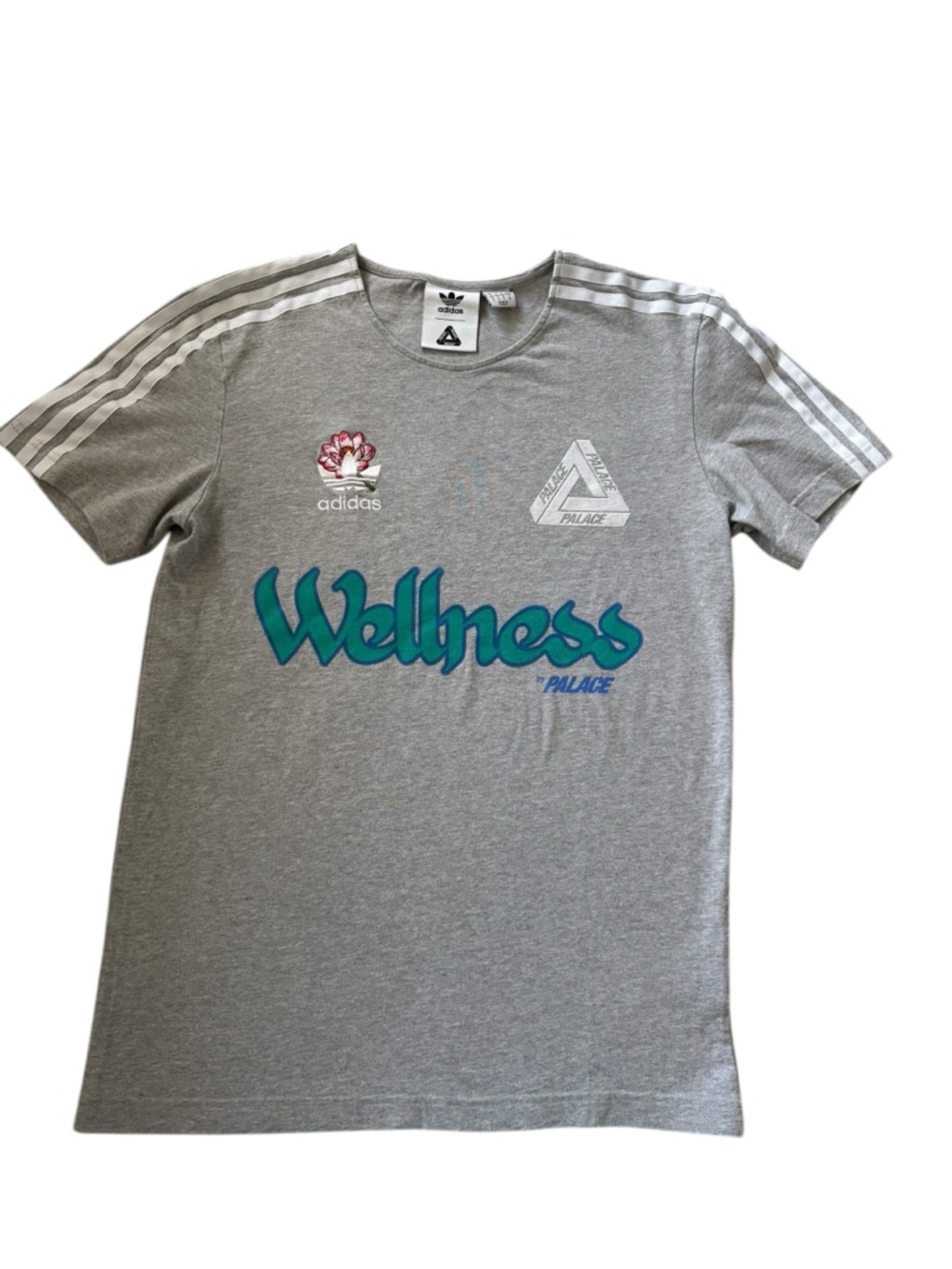 Adidas Palace X adidas Originals Wellness Graphic Short Sleeve T-Shirts Grey